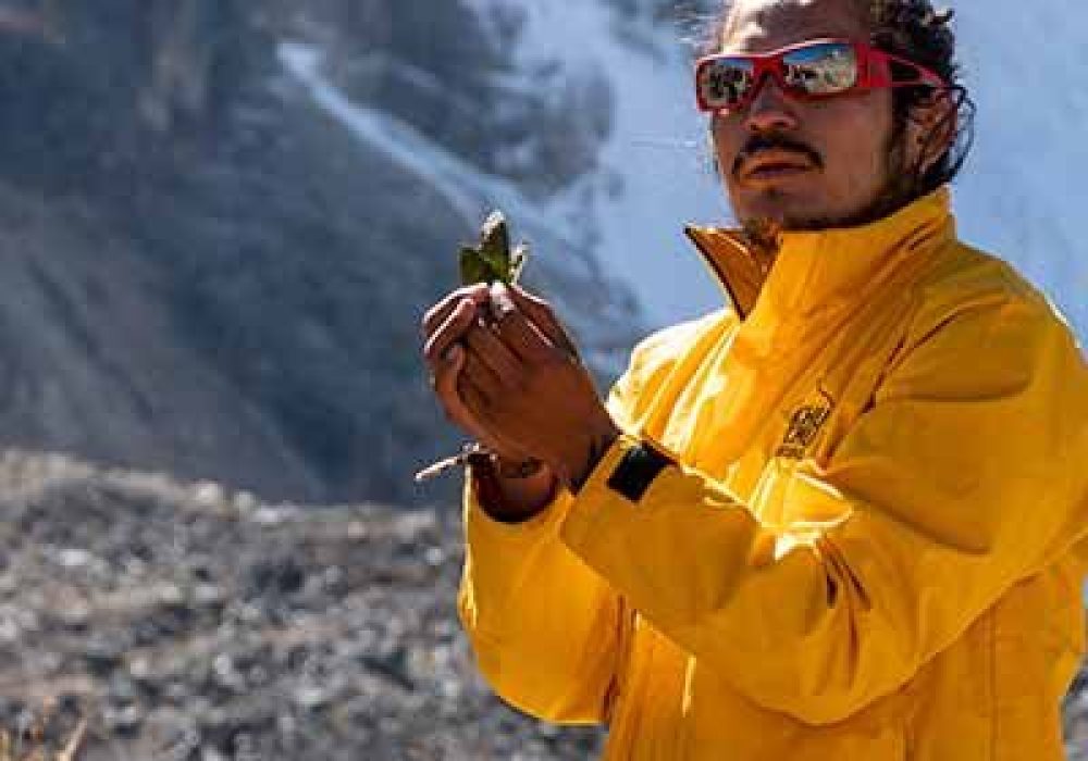 Professional tour guides at Machu Picchu Reservations